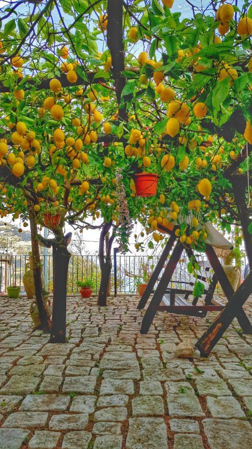 Вілла Il Limoneto Degli Angeli Мінорі Екстер'єр фото
