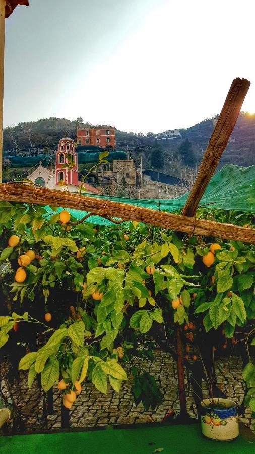 Вілла Il Limoneto Degli Angeli Мінорі Екстер'єр фото