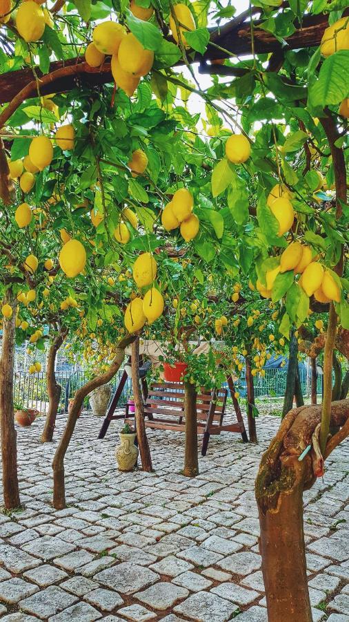 Вілла Il Limoneto Degli Angeli Мінорі Екстер'єр фото